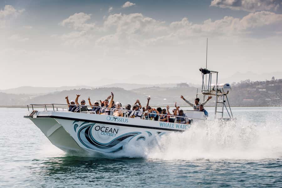 Knysna: Close Encounter Whale Watching Tour by Boat - Setting off from Thesen Harbour, where the tour starts