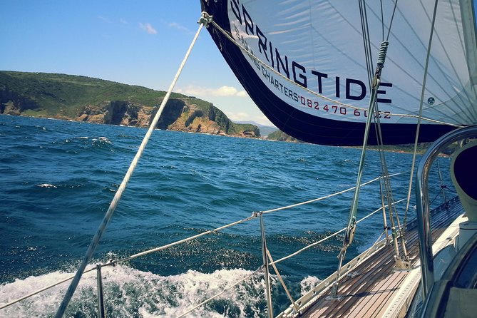 Knysna Day Sailing Cruise 1.5 hour - Sailing through Knysna Lagoon, then heading for the Heads