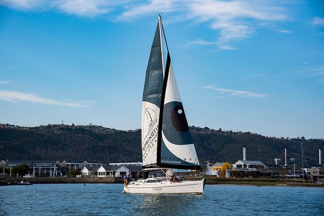 Knysna Day Sailing Cruise 1.5 hour - If the ocean is rough, here is what changes