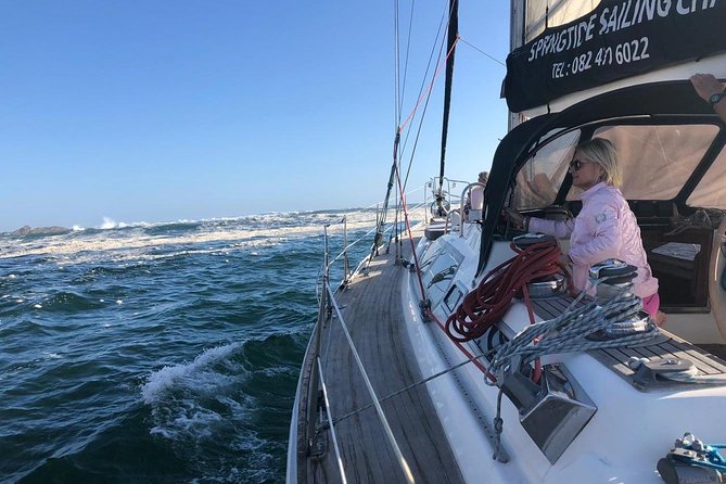 Knysna Day Sailing Cruise 1.5 hour - Wildlife watching that is more than just hoping