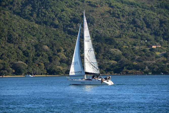 Knysna Day Sailing Cruise 1.5 hour - Drinks, food, and what your money covers