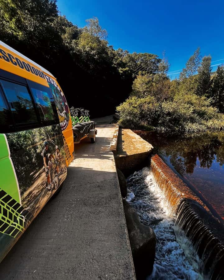 Knysna: Downhill Forest Scootour Adventure - Speed Meets Real Forest Nature, Garden Route Style