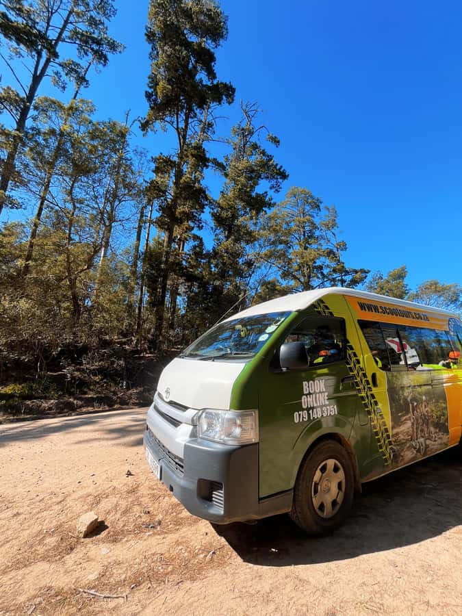 Knysna: Downhill Forest Scootour Adventure - Photo Stops That Actually Make Sense