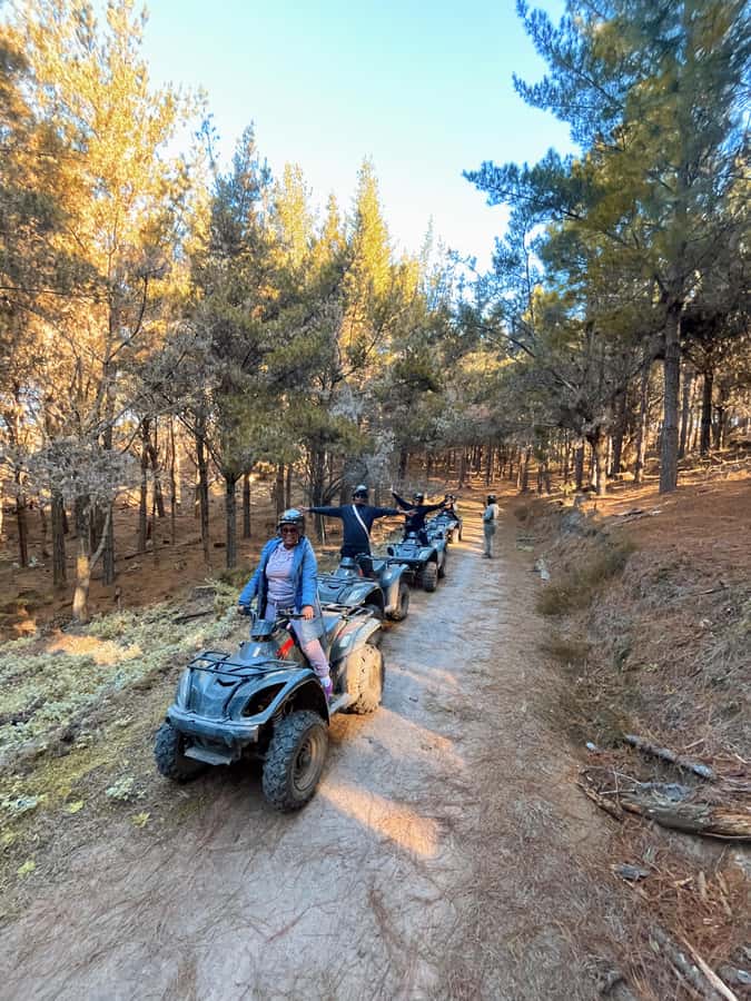 Knysna: Guided Quad Bike Tour in the Forest - The Ride Itself: 12-15 km Through Pine and Indigenous Forest