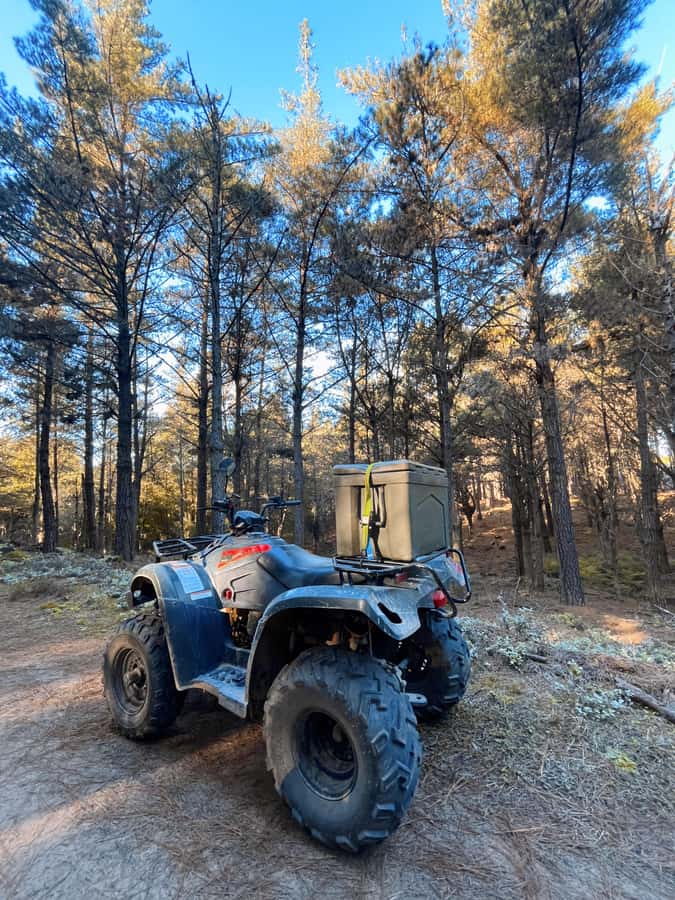 Knysna: Guided Quad Bike Tour in the Forest - Language and Group Experience: English and Afrikaans, Plus Audio Support