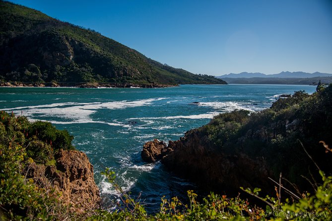 Knysna Heads & Lagoon Adventure Tour - Wildlife Moments: Dolphins, Seals, and the Kind of Stopping You Hope For