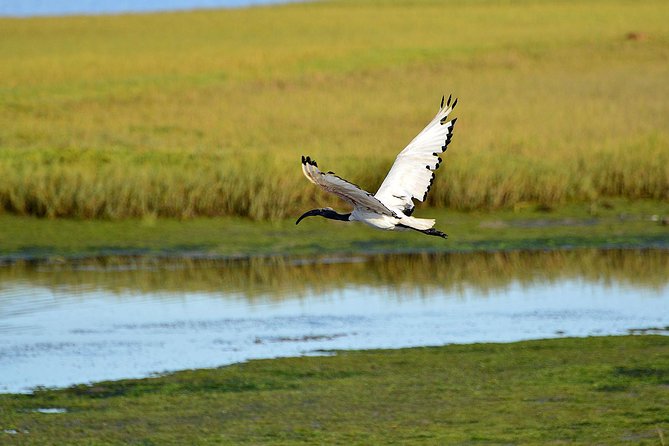 Knysna Heads & Lagoon Adventure Tour - Price and Value: What $44.45 Buys You in the Real World
