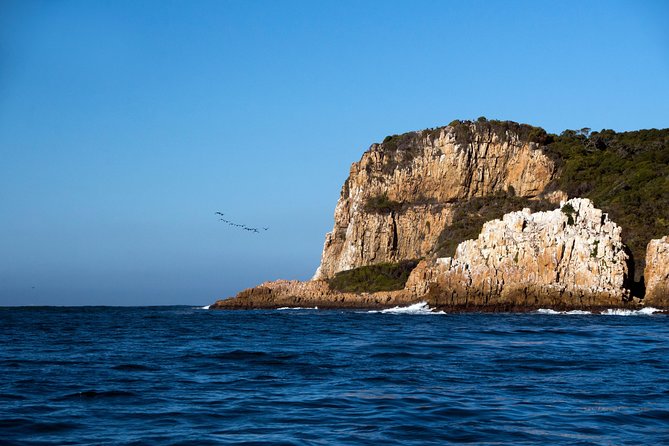 Knysna Heads & Lagoon Adventure Tour - What to Bring, What to Wear, and How to Prepare for All Weather