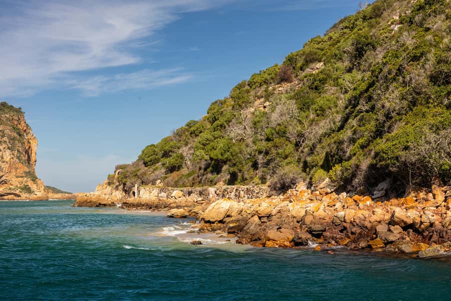 Knysna: Knysna Lagoon Pontoon Boat Cruise - The swim break, and how to be ready