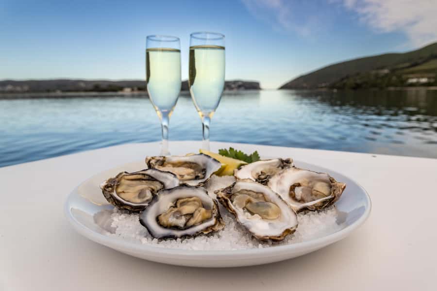 Knysna: Knysna Lagoon Pontoon Boat Cruise - What to bring for a smooth day on the lagoon