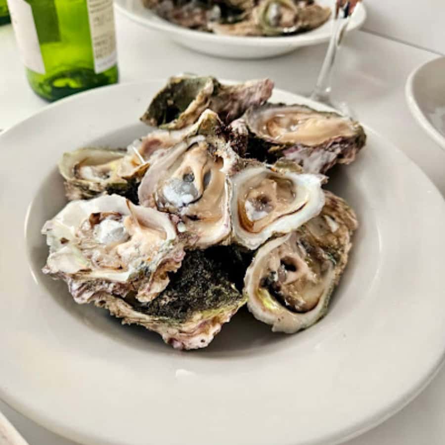 Knysna Lagoon: Boat Cruise with Oyster & White Wine Tasting - Knysna Lagoon, Heads Views, and the 90-Minute Pace That Works