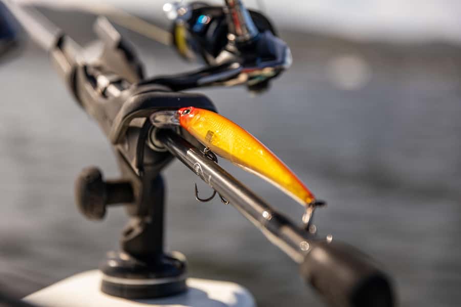 Knysna Lagoon Fishing Charter - Price and value: is $99 per person a good deal?