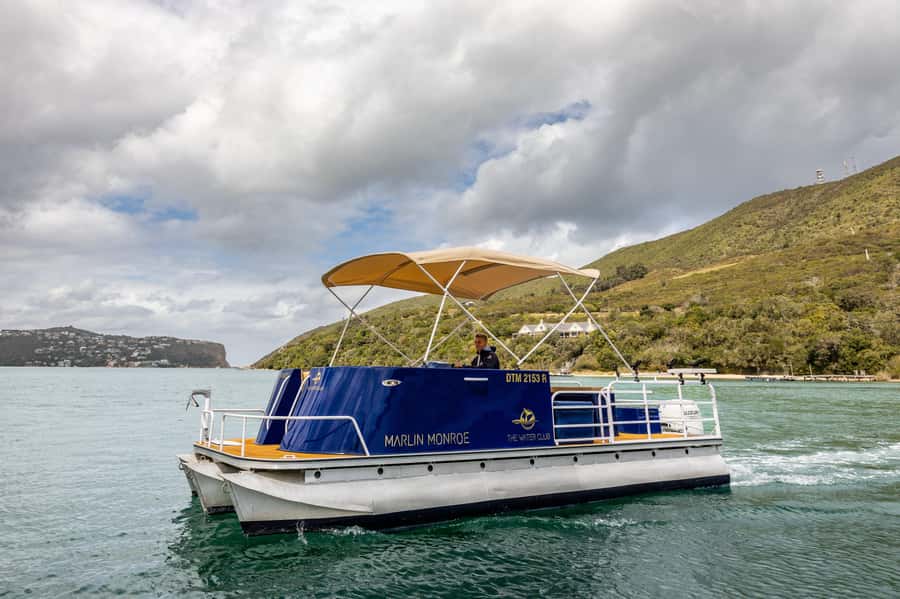 Knysna Lagoon: Pontoon Sunset Cruise - Heading Toward Knysna Heads for Birdlife and Marine Views
