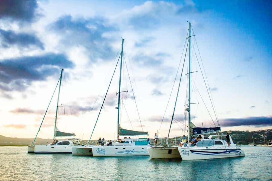 Knysna: Luxury Catamaran Marine Adventure Tour - Luxury Catamaran Comfort and the Bubbly Moment