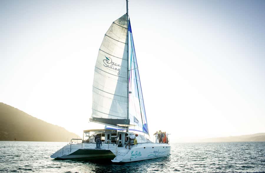 Knysna: Luxury Catamaran Marine Adventure Tour - Marine Life Chances: Seals and Dolphins From the Water