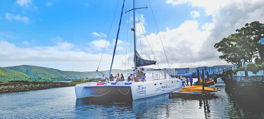 Knysna: Luxury Catamaran Marine Adventure Tour - Price and Value: What You Get for $84