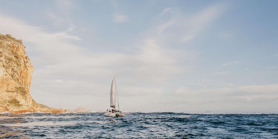 Knysna: Luxury Catamaran Marine Adventure Tour - Who This Cruise Is Best For