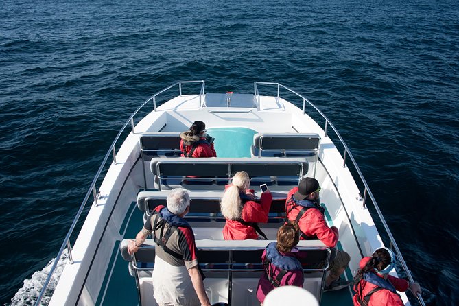 Knysna Marine Life & Garden Route Coastline Experience - Key things I’d mark on your mental map