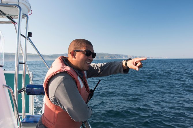 Knysna Marine Life & Garden Route Coastline Experience - Wildlife chances: how to think about whales, dolphins, seals, and birds