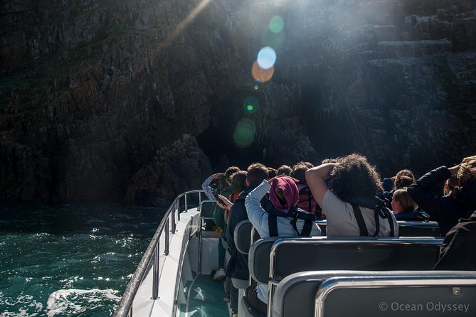 Knysna Marine Life & Garden Route Coastline Experience - Price and value: what $105 buys you