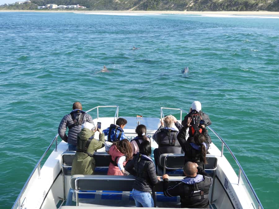 Knysna: Marine Life & Garden Route Coastline Tour - Key things that make this Knysna cruise worth your time