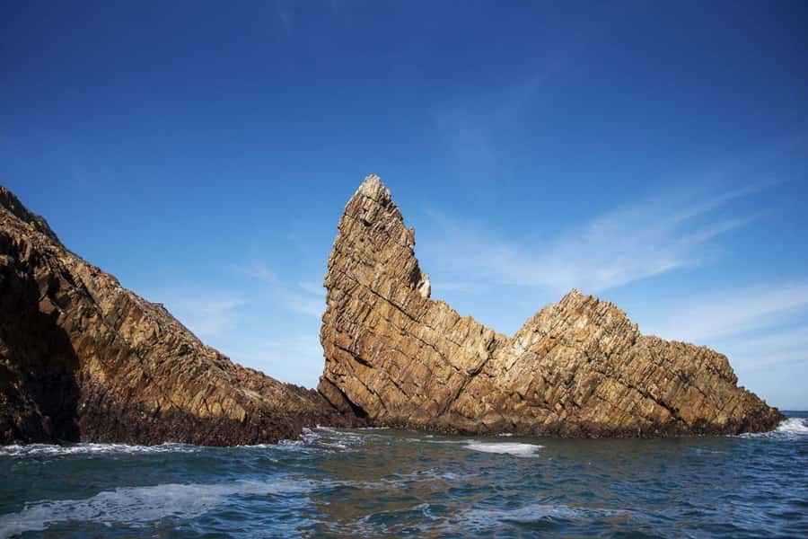 Knysna: Marine Life & Garden Route Coastline Tour - Knysna Estuary to the Heads, rugged cliffs and the story of the coastline