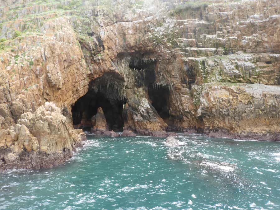 Knysna: Marine Life & Garden Route Coastline Tour - Ocean Odyssey’s small-group format and why the skipper guidance changes the whole feel