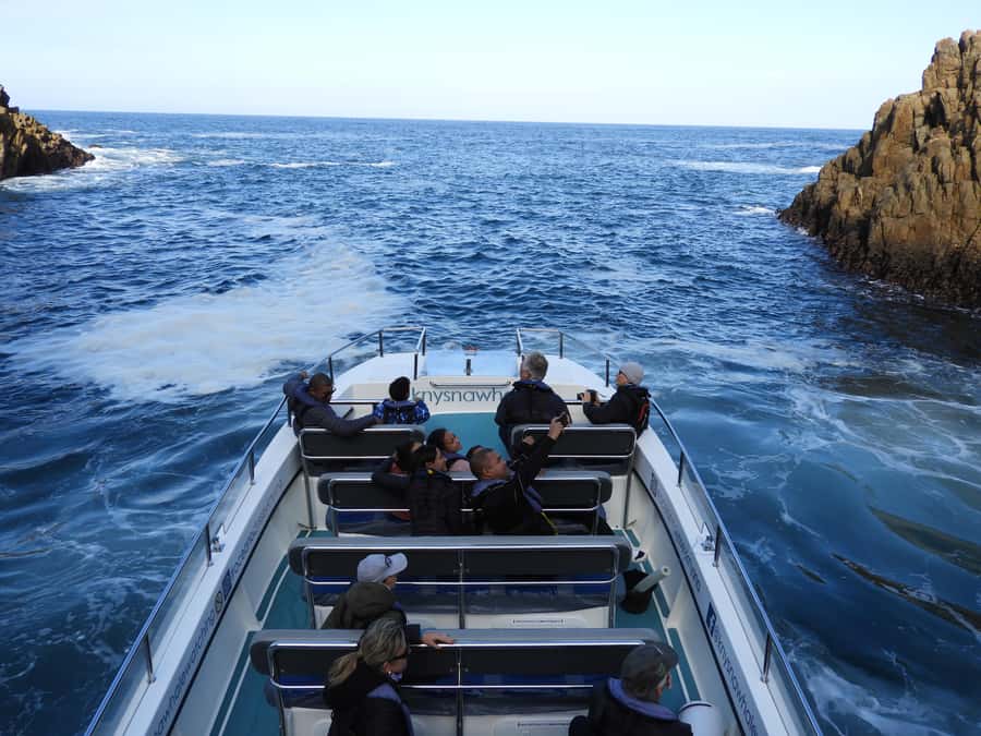 Knysna: Marine Life & Garden Route Coastline Tour - Price and value: why about $5 can still feel like a serious ocean activity