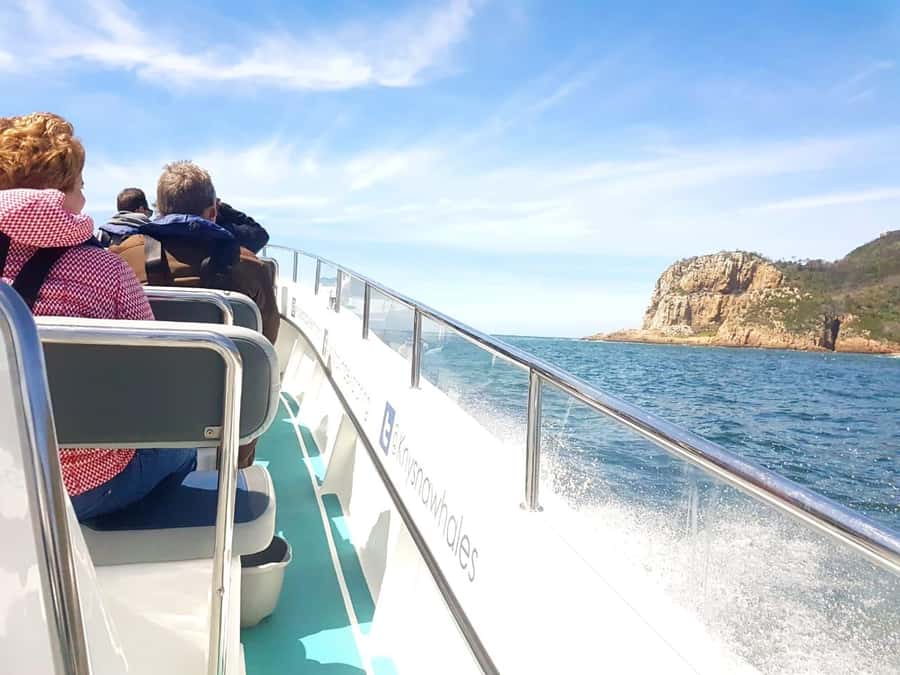 Knysna: Marine Life & Garden Route Coastline Tour - Safety Briefing, Life Jackets, and Staying Comfortable During the Cruise