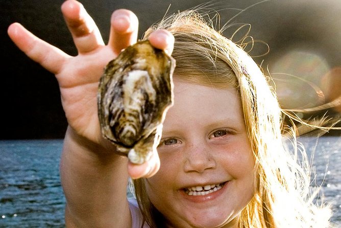 Knysna Oyster Tour - Getting started at Knysna Charters (Thesen Island)