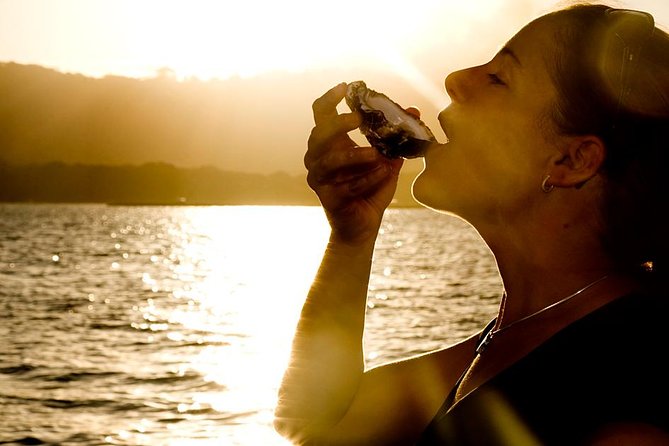 Knysna Oyster Tour - The 90 minutes you actually spend on the water