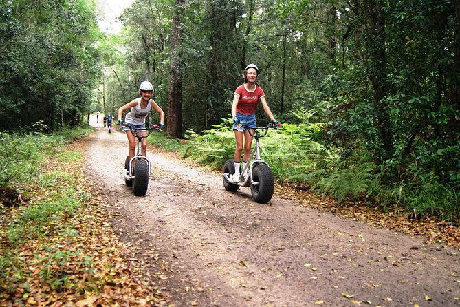 Knysna Scootours - Why This Scooter Tour Works in Knysna Forests