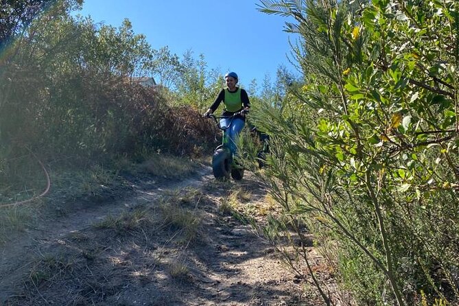 Knysna Scootours - Wildlife and Scenery: What to Look for While You Ride