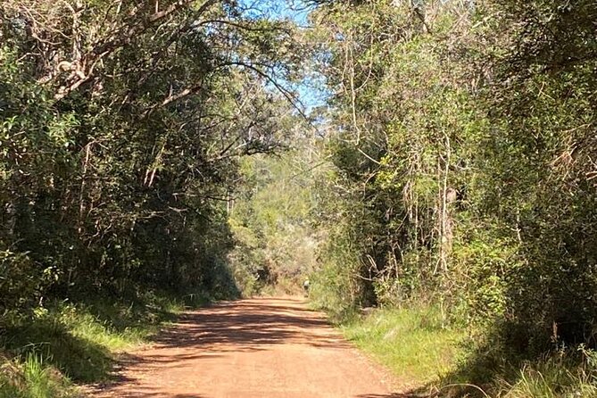 Knysna Scootours - A Family-Friendly Way to Explore, With Clear Age Rules