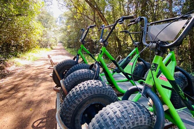 Knysna Scootours - Private Group Energy, Not a Herded Experience