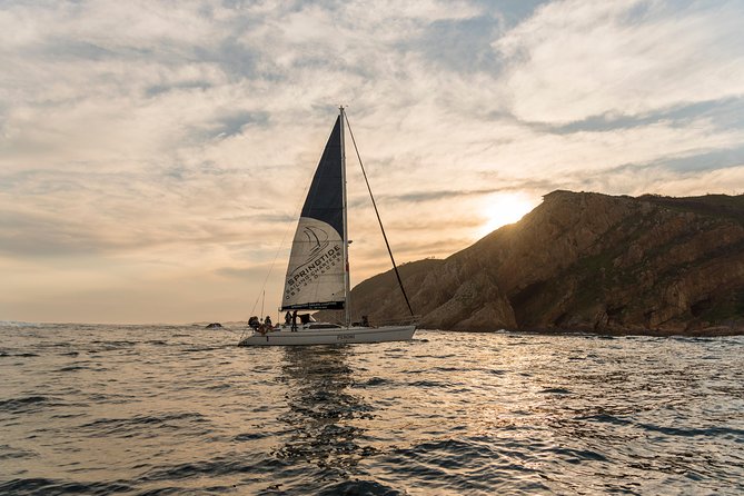 Knysna Sunset Sailing Cruise, Light Dinner & Bubbly - Who Should Book This Sunset Sailing Cruise?