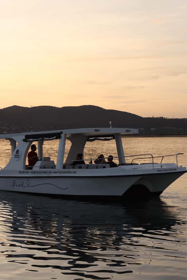 Knysna: Wine & Oyster Luxury Lounger Sunset Cruise - Wine and Oysters: Simple, Included, and Enough to Make It Worth It