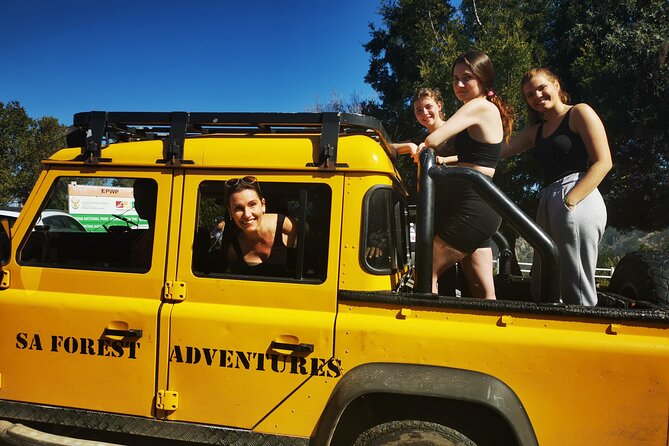Knysna Ziplines Tour - What the 2 Hours Feels Like, From Arrival to Final Landing