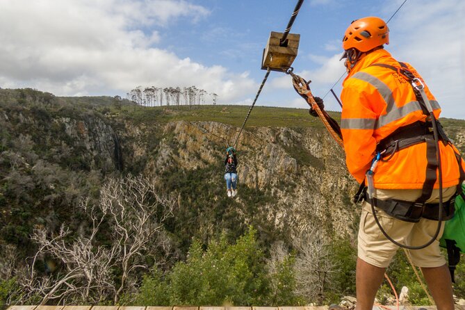 Knysna Ziplines Tour - Who This Tour Fits Best
