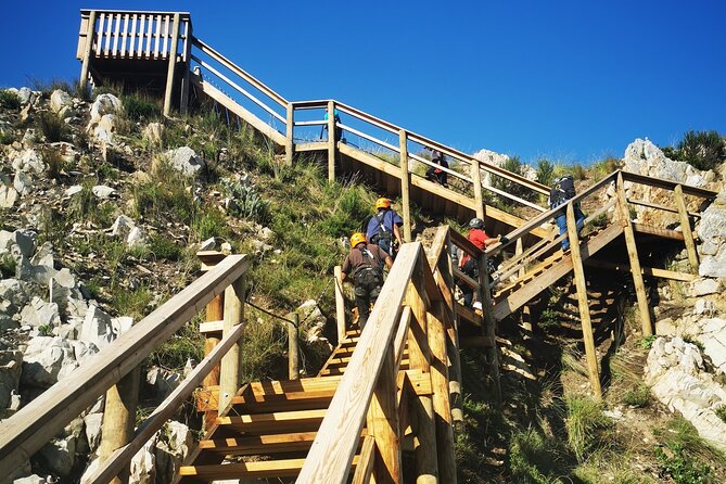 Knysna Ziplines Tour - Should You Book Knysna Ziplines?