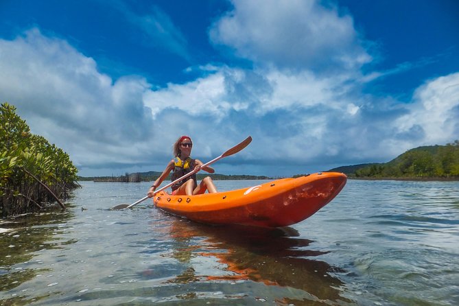 Kosi Bay Mouth Experience - Kayaking, Snorkeling, Fish Trap Tour and Fish braai - Kosi Bay Mouth: warm estuary water, tide timing, and the day’s flow