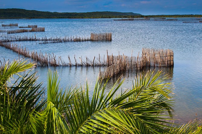 Kosi Bay Mouth Experience - Kayaking, Snorkeling, Fish Trap Tour and Fish braai - Permits, weather rules, and what to plan for before 8:00 am
