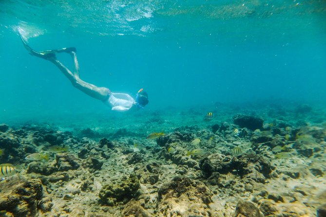 Kosi Bay Mouth Experience - Kayaking, Snorkeling, Fish Trap Tour and Fish braai - Who should book this Kosi Bay Mouth day trip