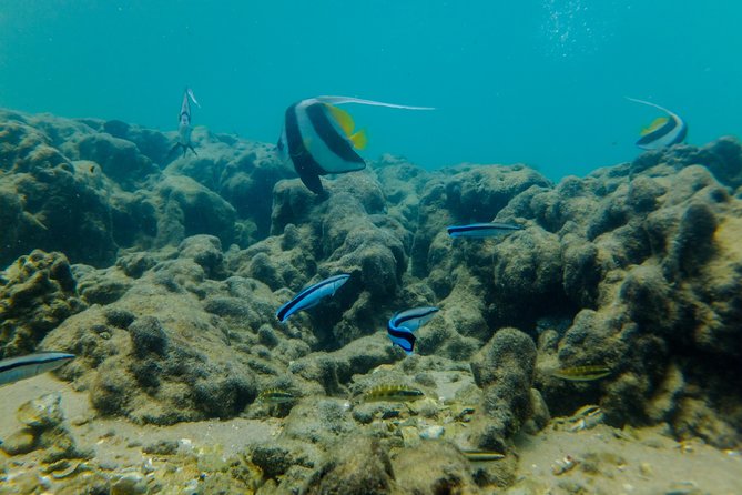 Kosi Bay Mouth Experience - Kayaking, Snorkeling, Fish Trap Tour and Fish braai - Practical tips for a smoother day at Kosi Bay Mouth