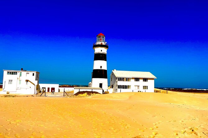 Kragga Kamma Game Drive and Scenic Coastal Tour in Port Elizabeth - Price and value: why $106 feels fair for what is actually included