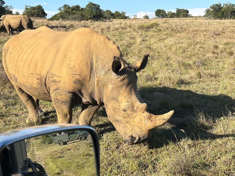 KRAGGA KAMMA GAME PARK - Guides Like Caleb and Alan: The Real Difference in Wildlife Drives