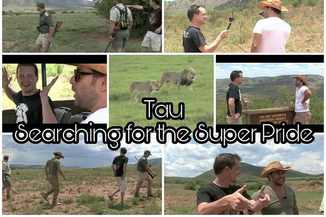 Kruger Lion Expedition with the Little Lionman Steve Kelly - Key Highlights You’ll Actually Feel During the Trip