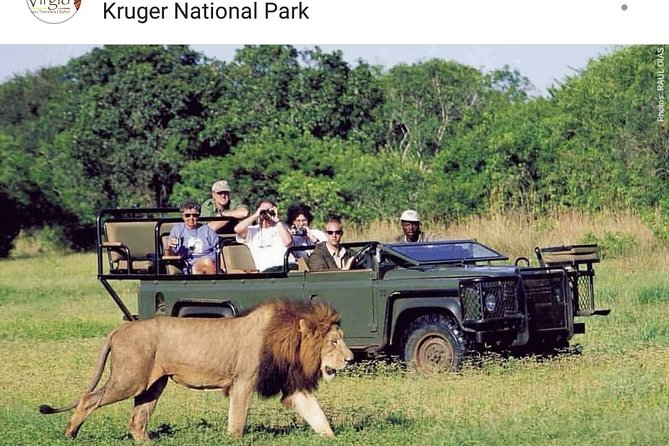 Kruger National Park 2 Days 1 Night Magical Safari from Johannesburg Private - Key things I’d put on your Kruger checklist