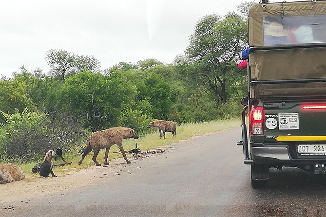 Kruger National Park 2 Days 1 Night Magical Safari from Johannesburg Private - Hazy View overnight: comfort that buys you a better Day 2