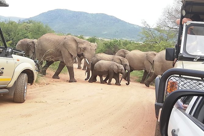 Kruger National Park 2 Days 1 Night Magical Safari from Johannesburg Private - What’s included, what costs extra, and how to budget